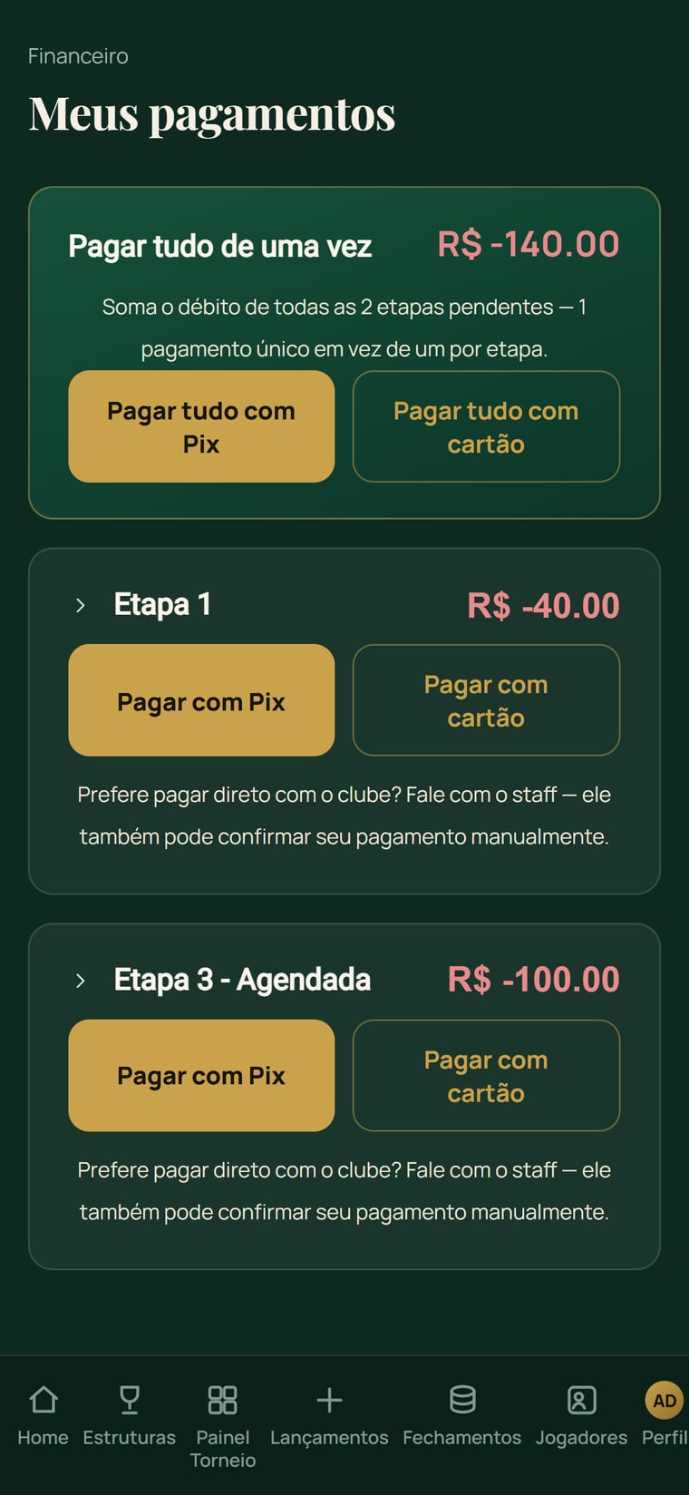 Meus pagamentos no celular